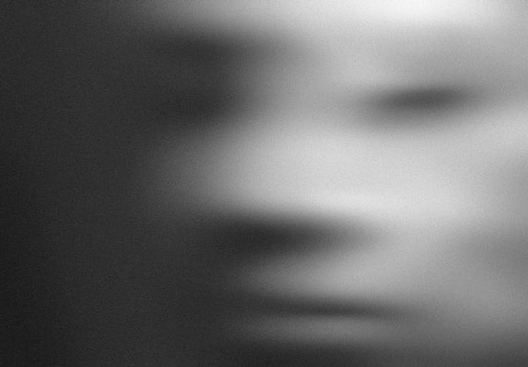 Blurred grayscale abstract portrait creating a mysterious effect.