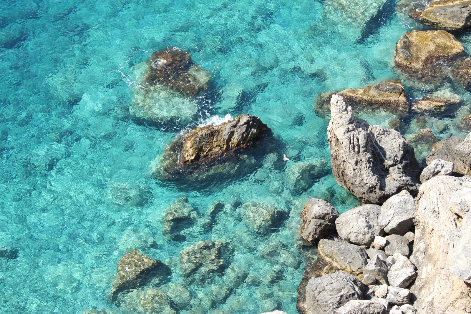 Clear Water Dream Meaning